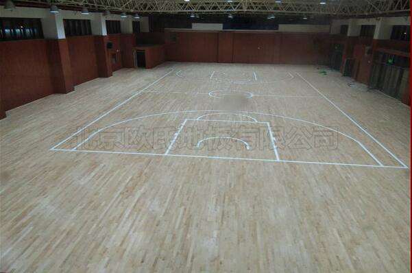 ���ݘ�(sh��)���ЌW(xu��)�@���^ľ�ذ�ɹ�����