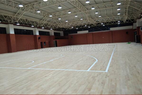 ���ݘ�(sh��)���ЌW(xu��)�@���^ľ�ذ�ɹ�����